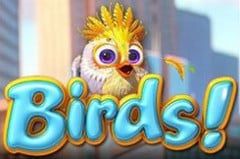 birds