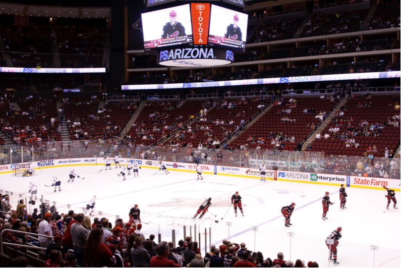 Long view of an NHL game